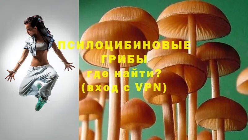 купить наркоту  Электросталь  Галлюциногенные грибы MAGIC MUSHROOMS 